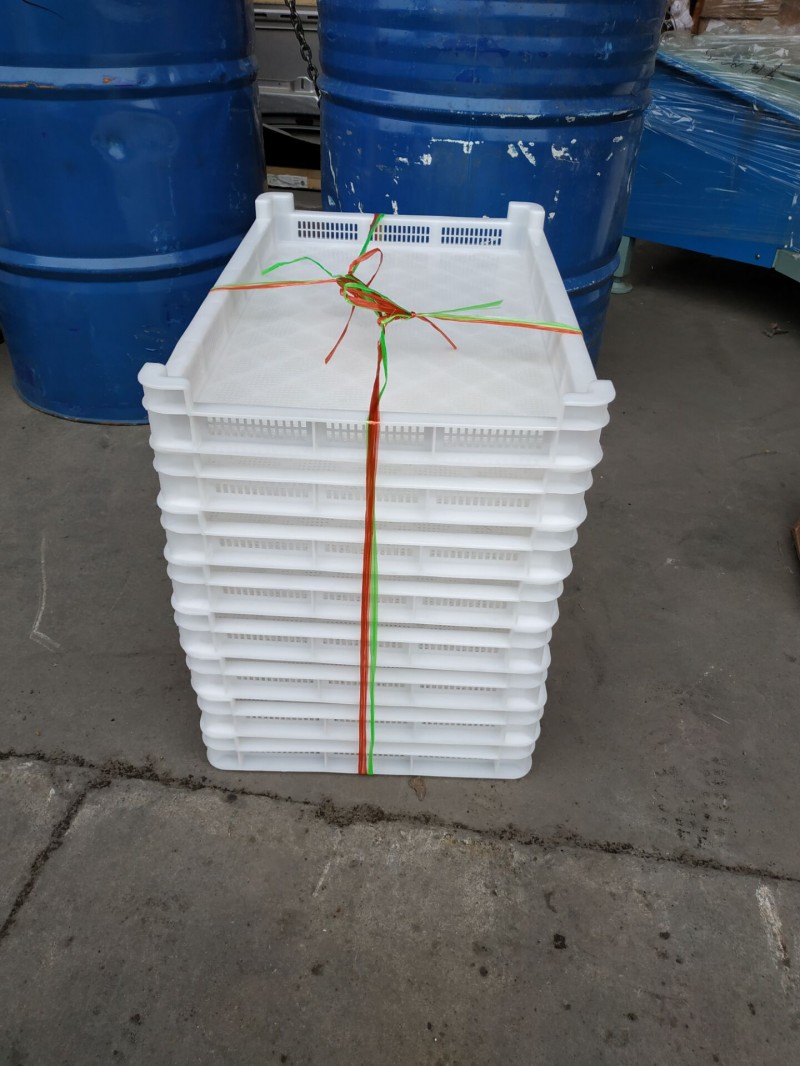 3號單凍器密眼14